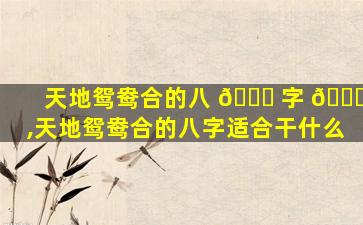天地鸳鸯合的八 🕊 字 🐞 ,天地鸳鸯合的八字适合干什么